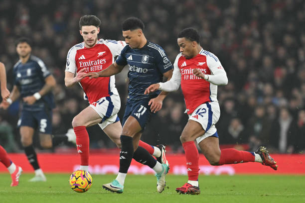 野生动物的 野生动物的