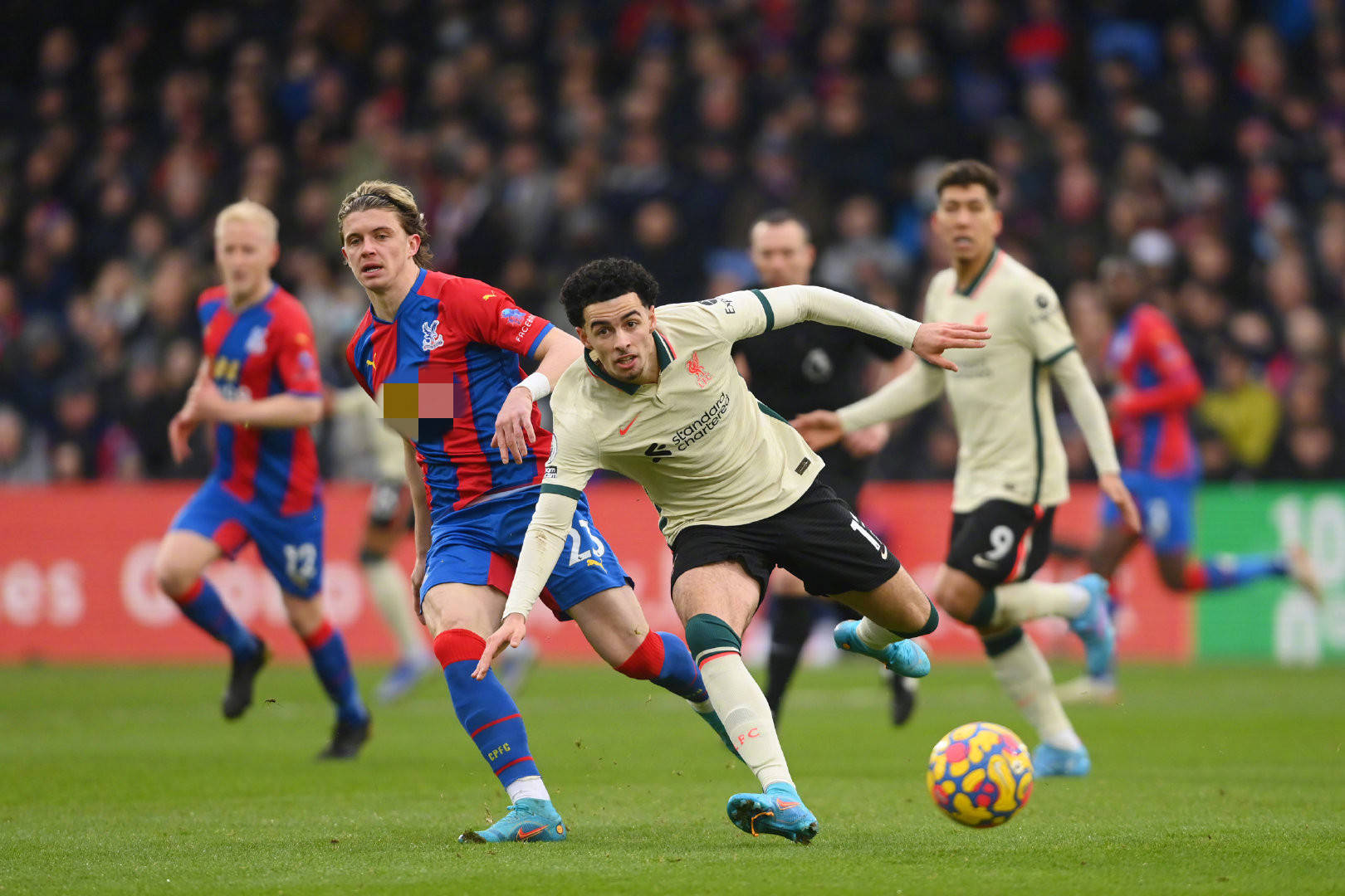 游泳教会了 游泳教会了